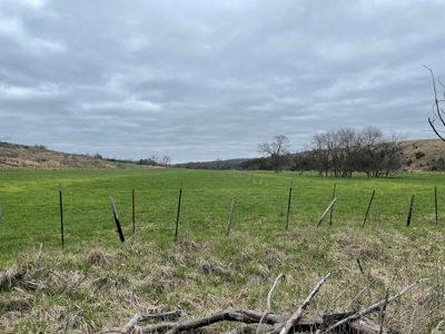 Cattle Ranch For Sale In Southern Missouri - image 42