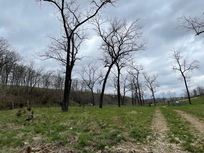 Cattle Ranch For Sale In Southern Missouri - image 24