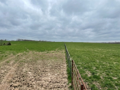Cattle Ranch For Sale In Southern Missouri - image 47