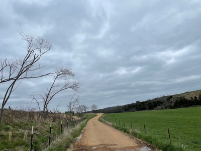 Cattle Ranch For Sale In Southern Missouri - image 43
