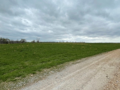 Cattle Ranch For Sale In Southern Missouri - image 4