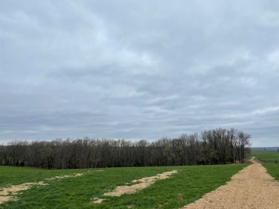 Cattle Ranch For Sale In Southern Missouri - image 49