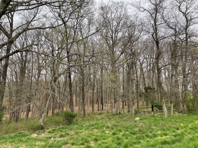 Cattle Ranch For Sale In Southern Missouri - image 50