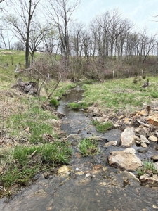 Cattle Ranch For Sale In Southern Missouri - image 23