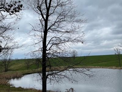 Cattle Ranch For Sale In Southern Missouri - image 18
