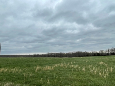 Cattle Ranch For Sale In Southern Missouri - image 3