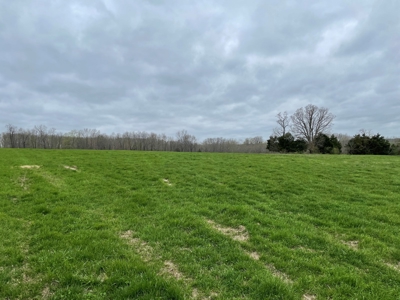 Cattle Ranch For Sale In Southern Missouri - image 48
