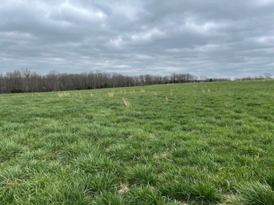 Cattle Ranch For Sale In Southern Missouri - image 8