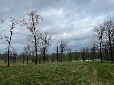 Cattle Ranch For Sale In Southern Missouri - image 11