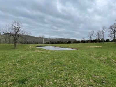 Cattle Ranch For Sale In Southern Missouri - image 25
