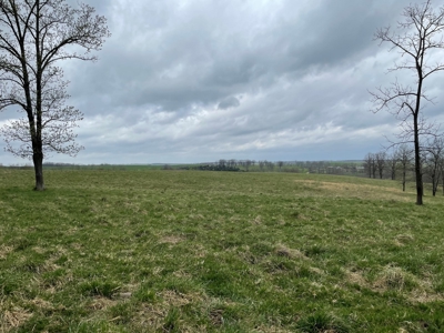 Cattle Ranch For Sale In Southern Missouri - image 12