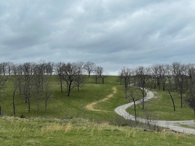 Cattle Ranch For Sale In Southern Missouri - image 21