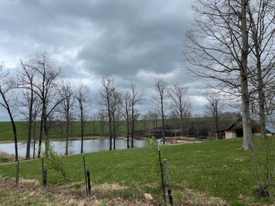 Cattle Ranch For Sale In Southern Missouri - image 13