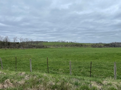 Cattle Ranch For Sale In Southern Missouri - image 45
