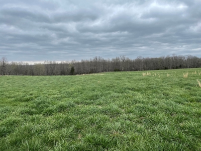 Cattle Ranch For Sale In Southern Missouri - image 46