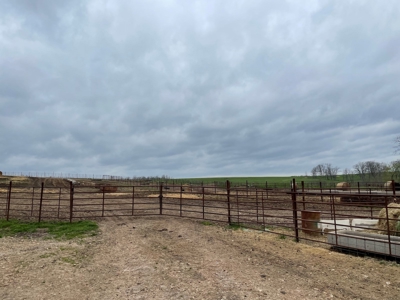 Cattle Ranch For Sale In Southern Missouri - image 36