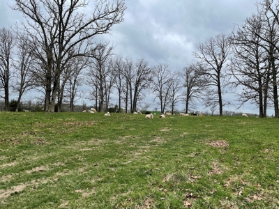 Cattle Ranch For Sale In Southern Missouri - image 38