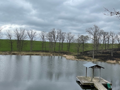 Cattle Ranch For Sale In Southern Missouri - image 1