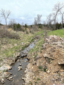 Cattle Ranch For Sale In Southern Missouri - image 22