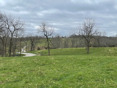 Cattle Ranch For Sale In Southern Missouri - image 26