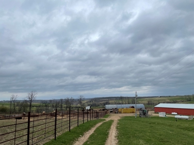 Cattle Ranch For Sale In Southern Missouri - image 37