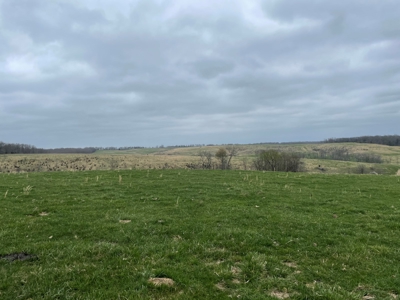 Ranch For Sale In Southern Missouri - image 27