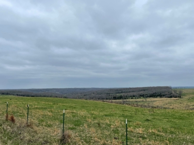 Ranch For Sale In Southern Missouri - image 1