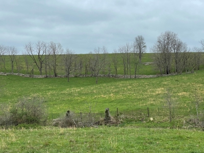 Ranch For Sale In Southern Missouri - image 22