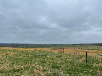 Ranch For Sale In Southern Missouri - image 17