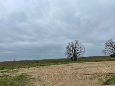 Ranch For Sale In Southern Missouri - image 3