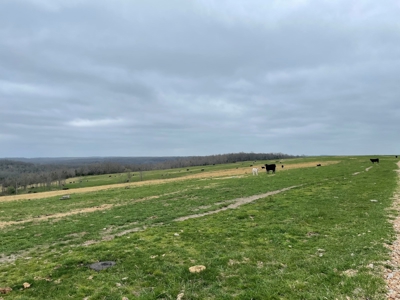 Ranch For Sale In Southern Missouri - image 15