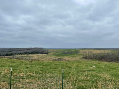 Ranch For Sale In Southern Missouri - image 5