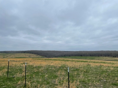 Ranch For Sale In Southern Missouri - image 16