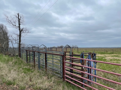 Ranch For Sale In Southern Missouri - image 2