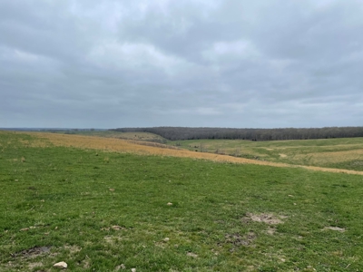 Ranch For Sale In Southern Missouri - image 12