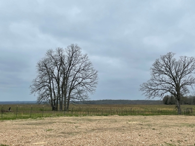 Ranch For Sale In Southern Missouri - image 4