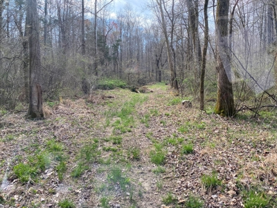 512+/- Acre Meadow Creek Farm For Sale in Central KY - image 40