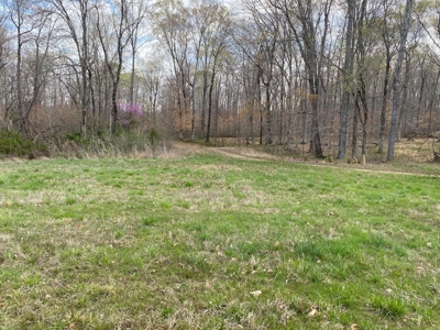 512+/- Acre Meadow Creek Farm For Sale in Central KY - image 25
