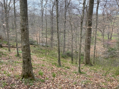 512+/- Acre Meadow Creek Farm For Sale in Central KY - image 15