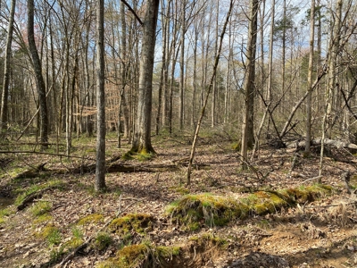512+/- Acre Meadow Creek Farm For Sale in Central KY - image 35