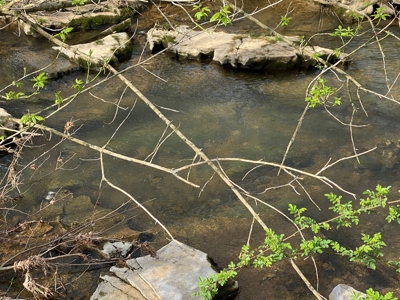 512+/- Acre Meadow Creek Farm For Sale in Central KY - image 17