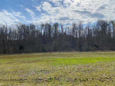 512+/- Acre Meadow Creek Farm For Sale in Central KY - image 36