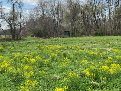 512+/- Acre Meadow Creek Farm For Sale in Central KY - image 12