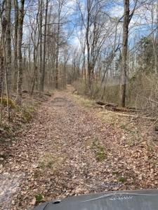 512+/- Acre Meadow Creek Farm For Sale in Central KY - image 38