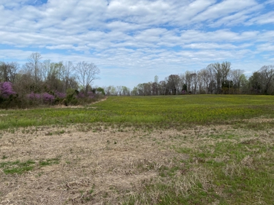512+/- Acre Meadow Creek Farm For Sale in Central KY - image 28