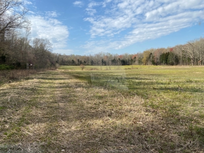 512+/- Acre Meadow Creek Farm For Sale in Central KY - image 34