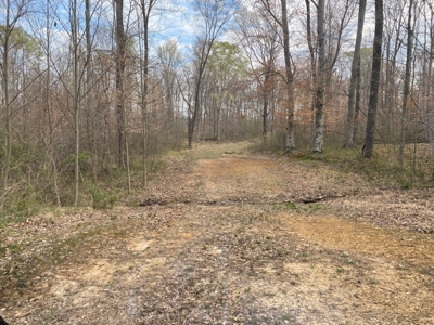 512+/- Acre Meadow Creek Farm For Sale in Central KY - image 26