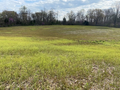 512+/- Acre Meadow Creek Farm For Sale in Central KY - image 30