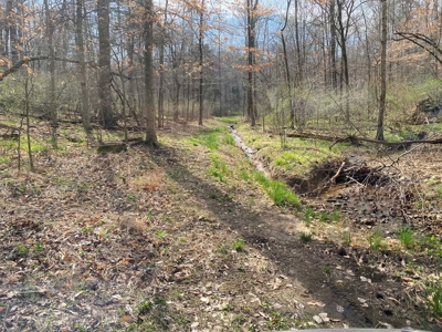 512+/- Acre Meadow Creek Farm For Sale in Central KY - image 39