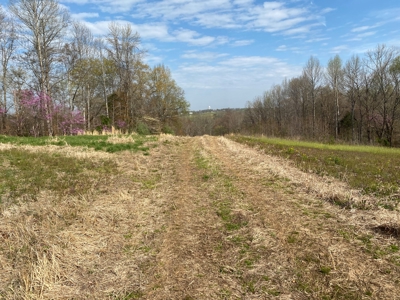 512+/- Acre Meadow Creek Farm For Sale in Central KY - image 31